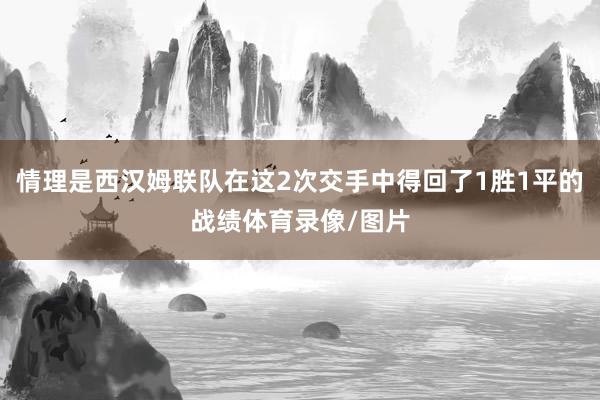 情理是西汉姆联队在这2次交手中得回了1胜1平的战绩体育录像/图片