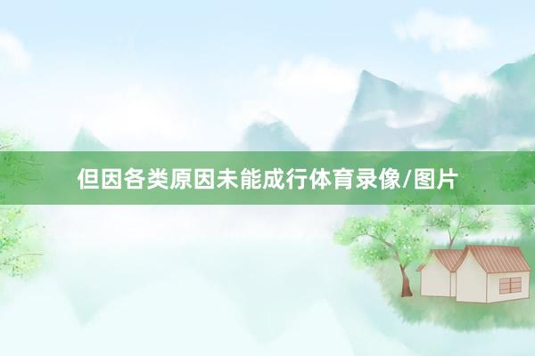 但因各类原因未能成行体育录像/图片