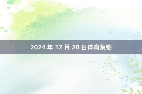 2024 年 12 月 20 日体育集锦