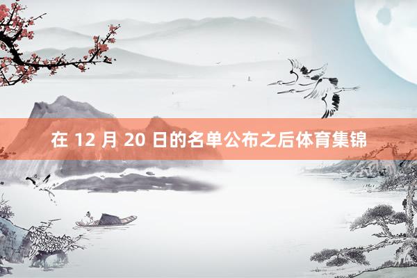 在 12 月 20 日的名单公布之后体育集锦