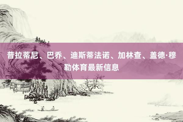 普拉蒂尼、巴乔、迪斯蒂法诺、加林查、盖德·穆勒体育最新信息
