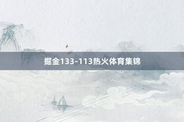 掘金133-113热火体育集锦