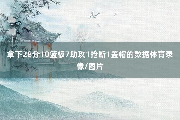 拿下28分10篮板7助攻1抢断1盖帽的数据体育录像/图片
