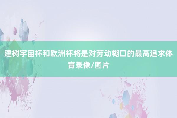 建树宇宙杯和欧洲杯将是对劳动糊口的最高追求体育录像/图片