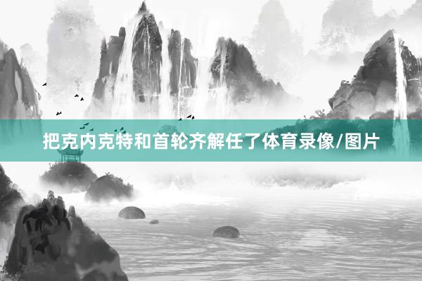 把克内克特和首轮齐解任了体育录像/图片