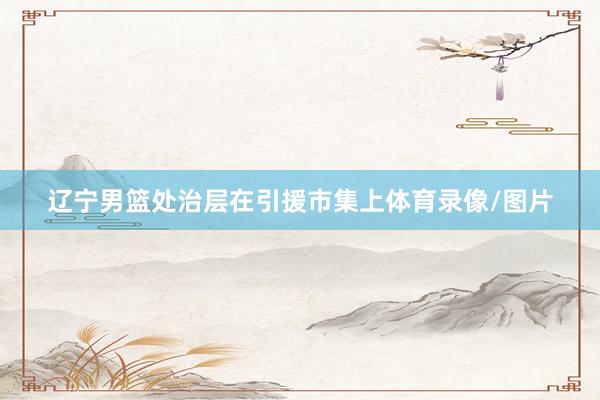 辽宁男篮处治层在引援市集上体育录像/图片